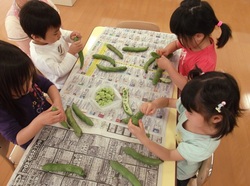 5DSCF05豆.jpg