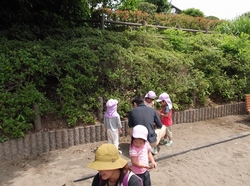 DSCF0122.jpg