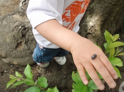 DSCF0129.jpg
