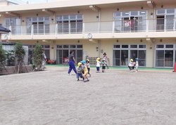 Dボール.jpg