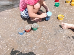 DSCF0410.jpg