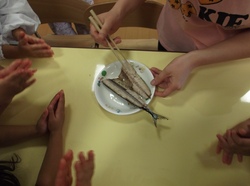 DSCF0751.jpg