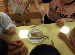 DSCF0753.jpg