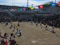 RIMG0209.jpg