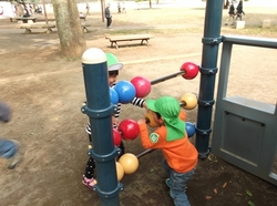 DSCF1205.jpg