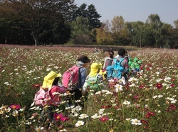 DSCF1238.jpg
