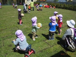 RIMG0249.jpg