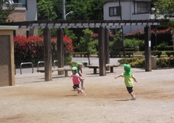 DSCF3755.jpg