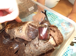 DSCF9505.JPG