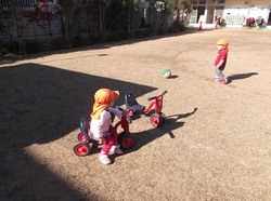 DSCF1419.jpg