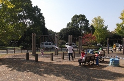 DSCF9589.jpg