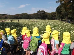 DSCF9617.jpg