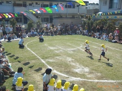 RIMG0328.jpg