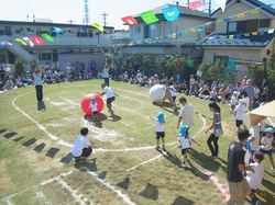 RIMG0331.jpg