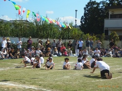 RIMG0335.jpg