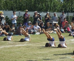 RIMG0337.jpg