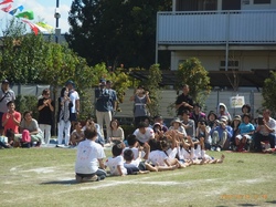 RIMG0338.jpg