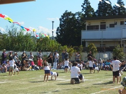 RIMG0339.jpg