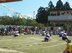 RIMG0340.jpg