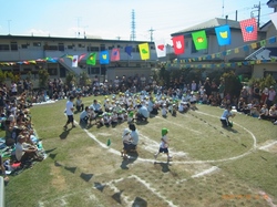 RIMG0341.jpg