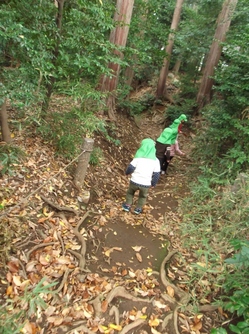 DSCF0279.JPG