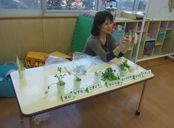 野田先生.jpg