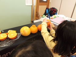 DSCF2148.JPGのサムネール画像
