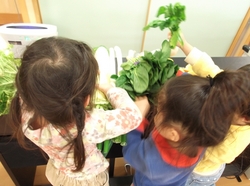 DSCF2154.JPG