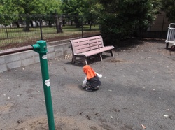 DSCF5156.jpgのサムネール画像