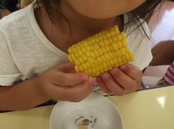 7月４.jpg