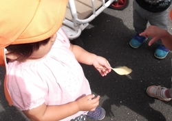 DSCF7879.jpg