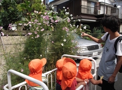 DSCF7888.jpg