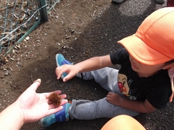 DSCF7889.jpg