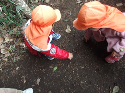 DSCF7565.JPG