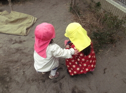 RNIG0962.JPGのサムネール画像