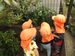 DSCF2485.JPG