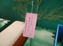 RIMG1040.jpg