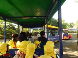 RIMG1159.JPG