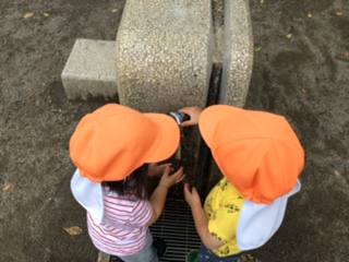 image3.jpeg