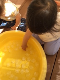 image3.jpeg
