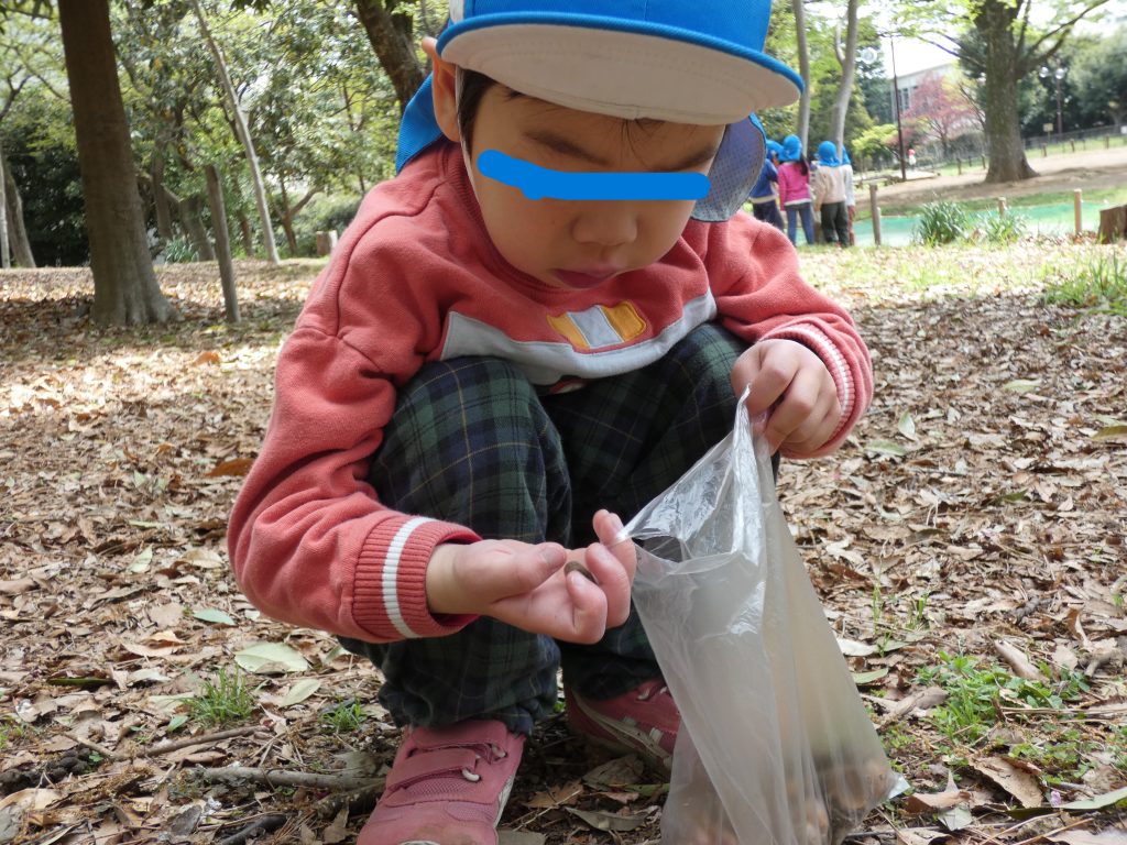 5歳児　おひさま組　秋の陽公園