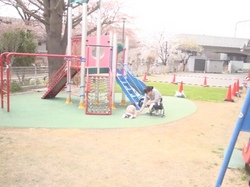 6861.JPG