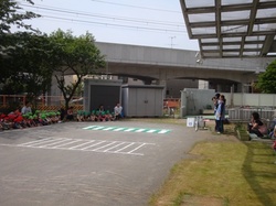 7152.JPG