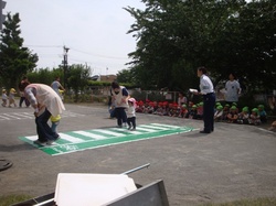 7155.JPG