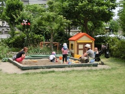 7307.JPG