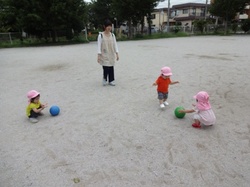 7974.JPG