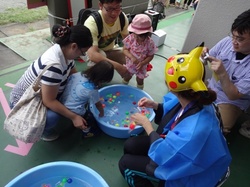 7987.JPG