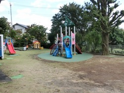 8163.JPG