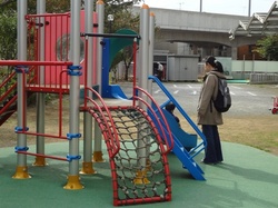 8424.JPG