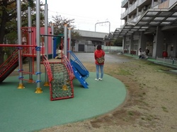 8509.JPG